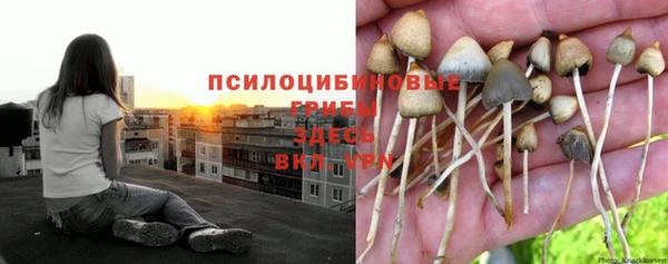 экстази Белоозёрский