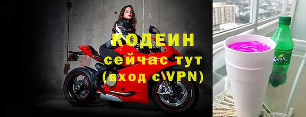 дживик Белокуриха