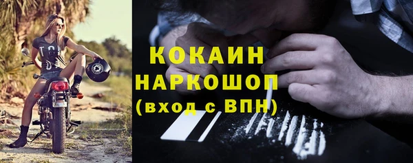 дживик Белокуриха