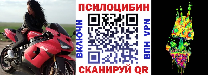 наркота Плёс Псилоцибиновые грибы прущие грибы